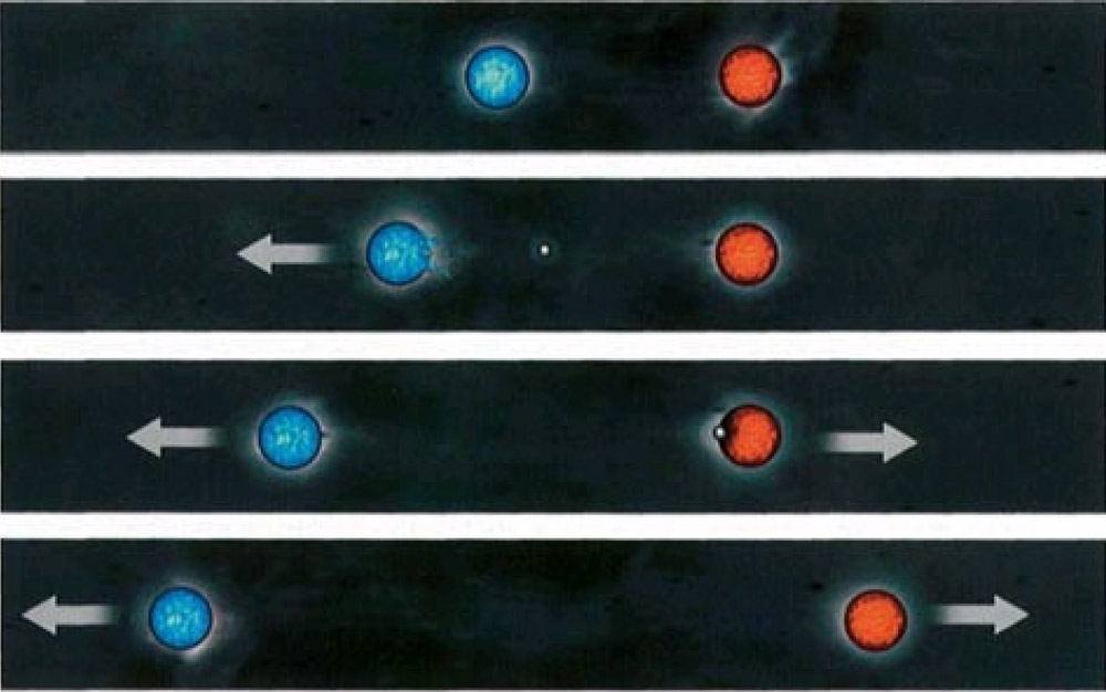 An antiparticle can be regarded as a particle traveling backward in time